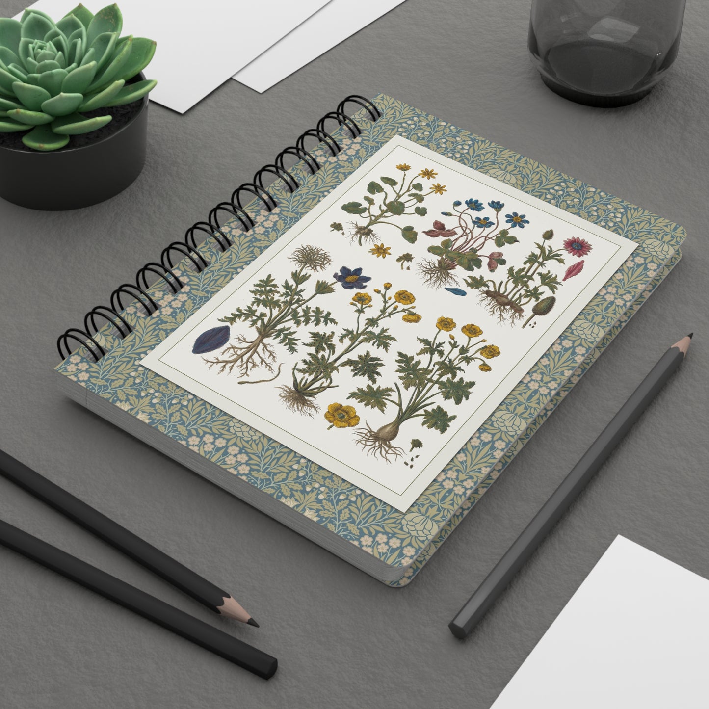 Morandi Historia Botanica Spiral Journal — 1744 Milan Botanical Plates Prussian Blue