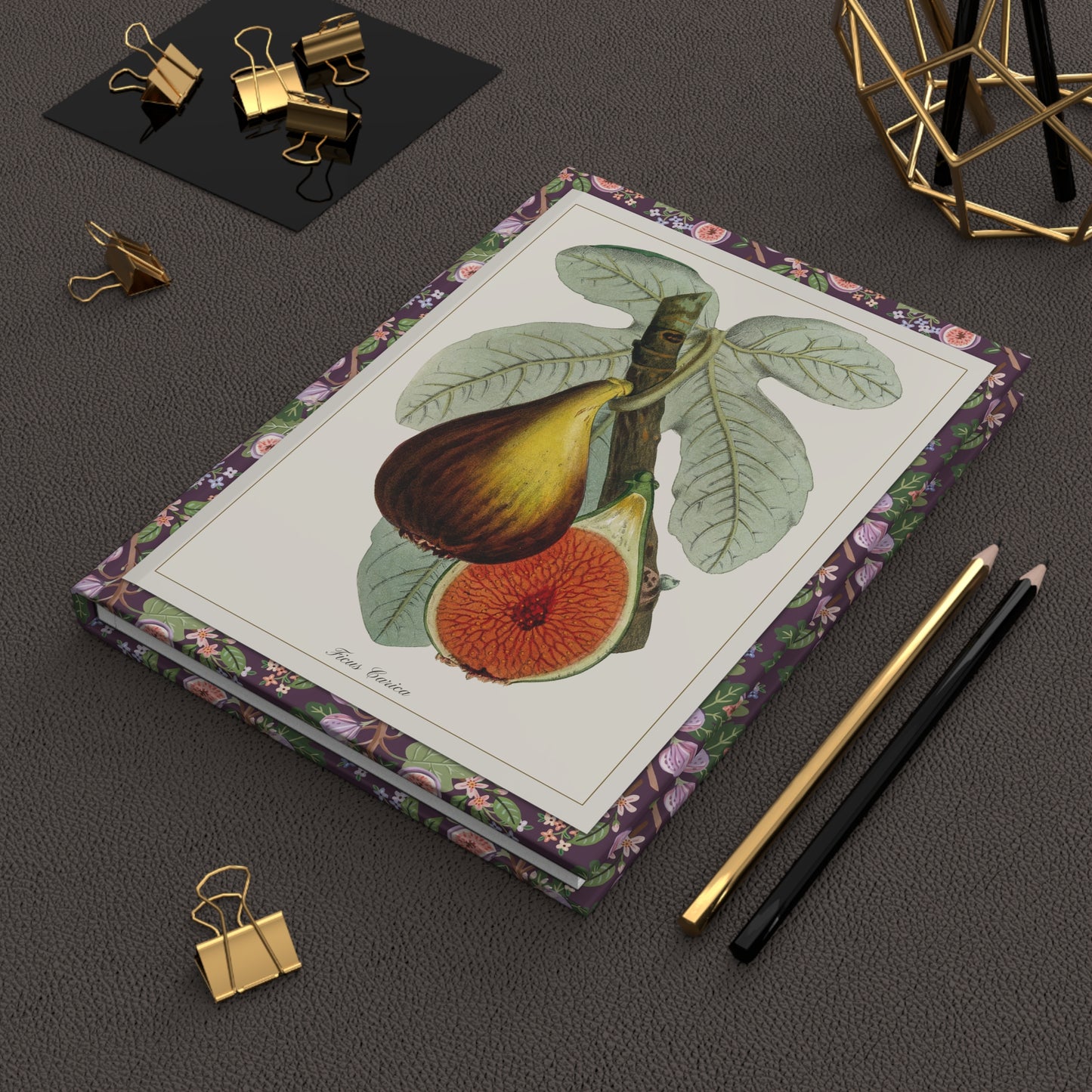 Ehret & Macfarlane Fig Blank Journal — Plantae Selectae 1750 Nuremberg & Victorian Zincograph c.1872