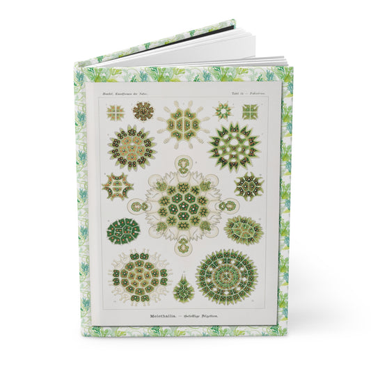 Ernst Haeckel algae hardcover journal standing vertically slightly open showing lined pages, Kunstformen der Natur 1904 cover - LeBonJournal