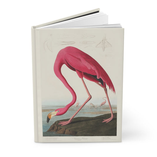 Hardcover ornithology journal standing upright showing front cover with Audubon's Plate 431 American Flamingo from The Birds of America 1827-1838 Robert Havell engraving on matte finish cover - LeBonJournal