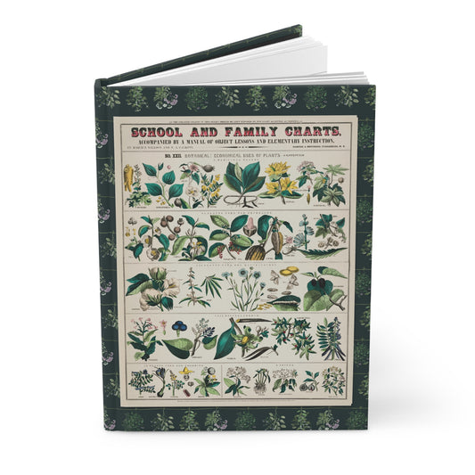 Hardcover educational journal standing upright showing front cover with Harper & Brothers 1890 No. XXII Economical Uses of Plants school chart by Marcius Willson on matte finish cover - LeBonJournal
