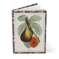 Ficus carica hardcover journal standing vertically slightly open showing lined pages, Macfarlane 1872 botanical zincograph cover with purple fig border - LeBonJournal