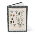 Forget me not journal with Emil Korsmo 1934-1938 botanical weed plates showing Field Forget-me-not Myosotis Small Bugloss - LeBonJournal