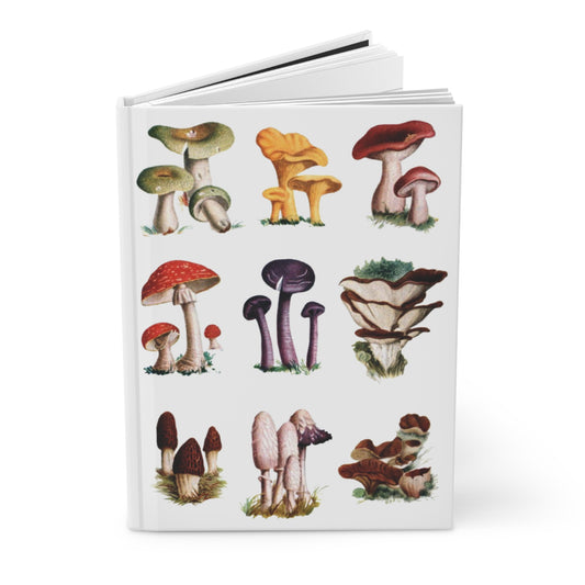 Mushroom journal El Tesoro de la Juventud encyclopedia Russula Chanterelle Morel Amanita botanical illustrations - LeBonJournal