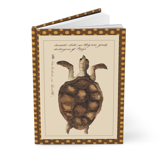 Sea and land tortoises journal with Kenelm Henry Digby 1810-1819 watercolor illustrations from The Naturalists Companion manuscript - LeBonJournal
