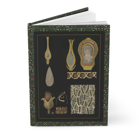Sphagnum moss journal with Gottlieb von Koch 1909 Jung-Koch-Quentell botanical wall charts showing moss anatomy and Mare's-tail - LeBonJournal