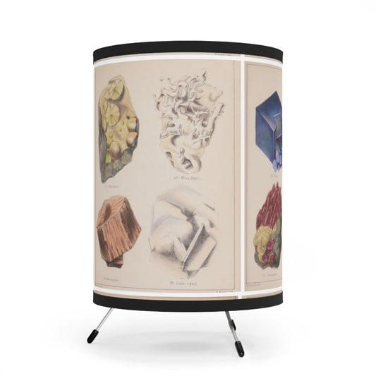 Vintage mineralogy prints from Henry Sowerby 1850 applied to decorative lamp shade showing Victorian geological illustrations of crystalline structures and gemstones - LeBonJournal