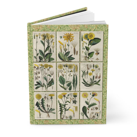 Schkuhr 1808 wildflower hardcover journal standing vertically slightly open showing lined pages, Asteraceae copper engraving cover Wittenberg - LeBonJournal