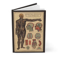 Brain and nervous system anatomy journal with 1908 medical education illustrations - LeBonJournal