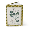 Flore médicale 1814 journal with Oxalide clover and Violette botanical illustrations - LeBonJournal