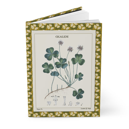 Flore médicale 1814 journal with Oxalide clover and Violette botanical illustrations - LeBonJournal