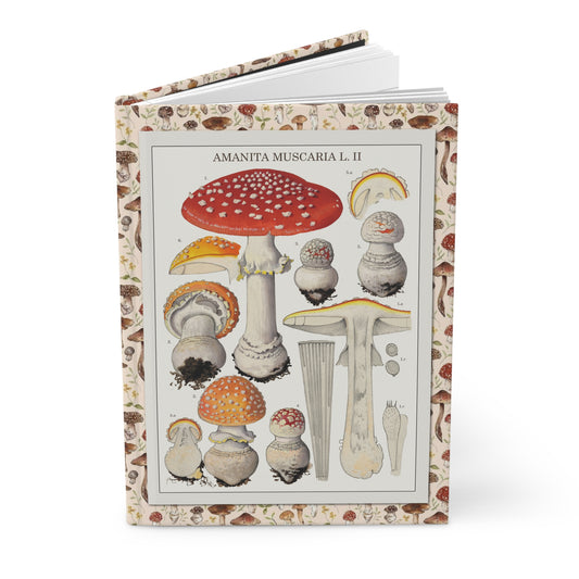 Hans Walty Amanita muscaria journal with Swiss botanical mushroom illustrations - LeBonJournal