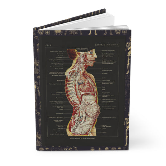Larousse Médical 1912 anatomy journal with French brain and viscera illustrations on black - LeBonJournal