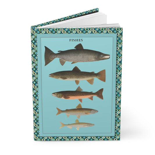 Max Richter 1939 Swedish fish posters journal with Fiskar III and VI educational charts - LeBonJournal