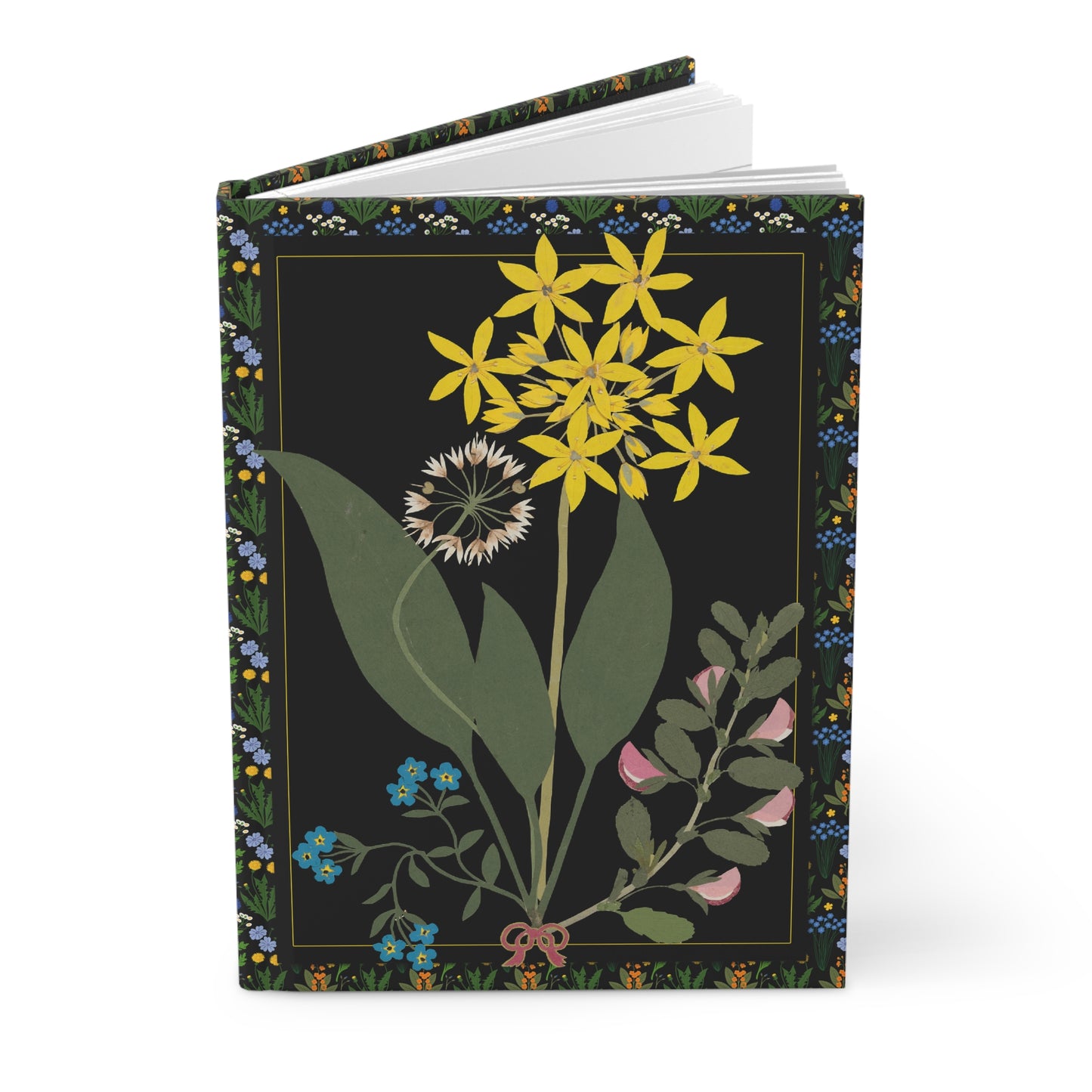 Wildflower Journal — Ellen W. 1835 Cut-Paper Flowers Crepis Rubra Asteraceae