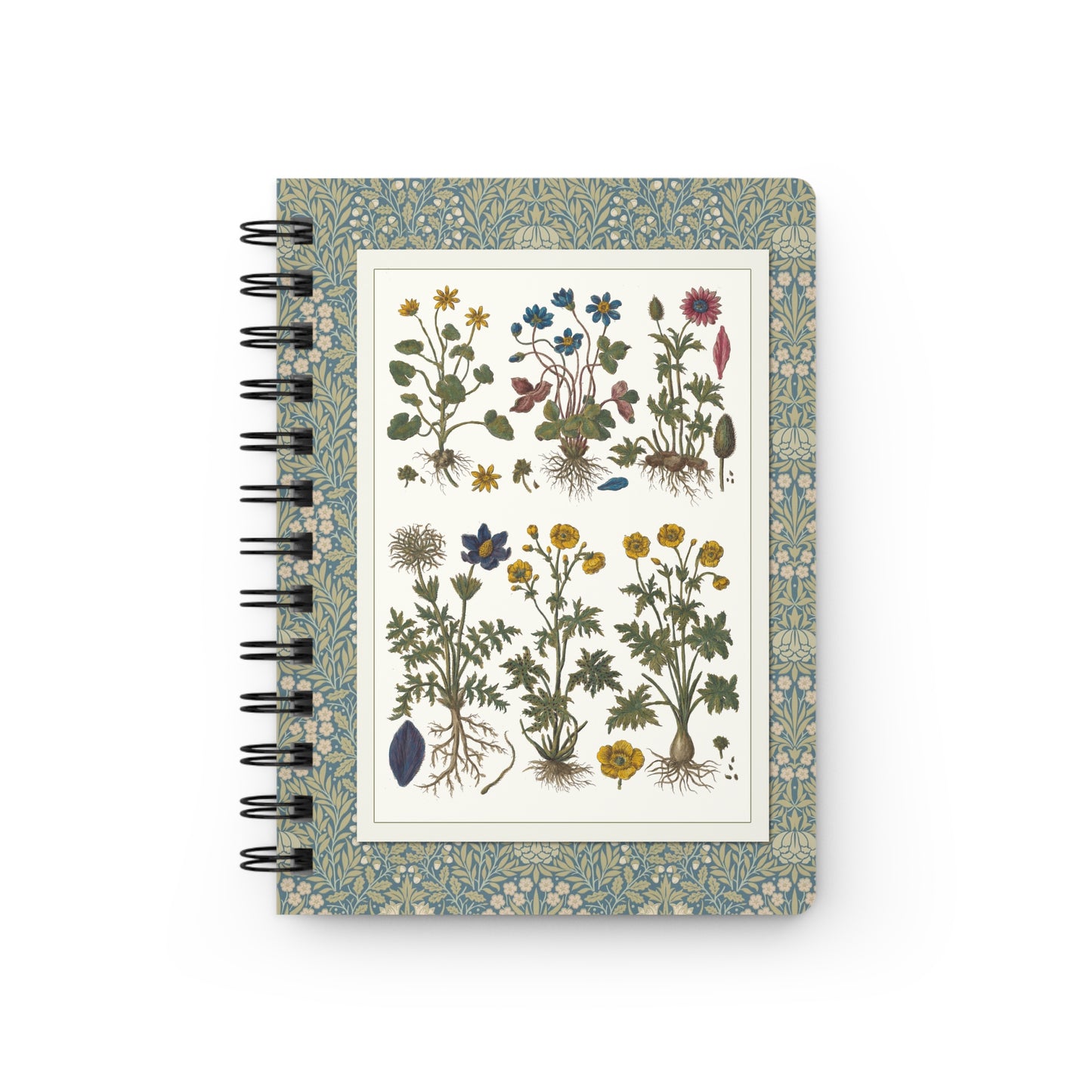 Morandi Historia Botanica Spiral Journal — 1744 Milan Botanical Plates Prussian Blue