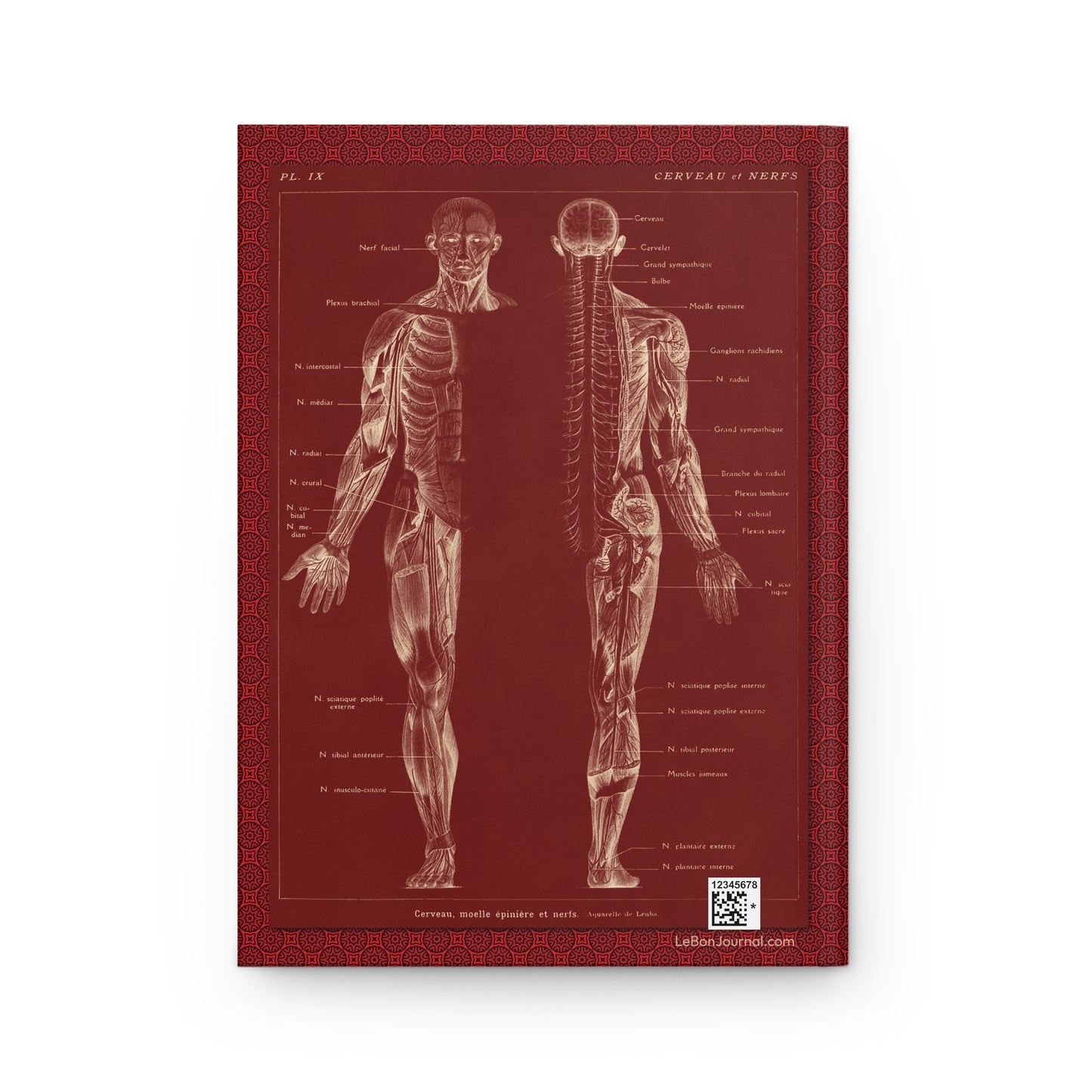 Human Anatomy Hardcover Journal — Medical Sketchbook & Study Notebook