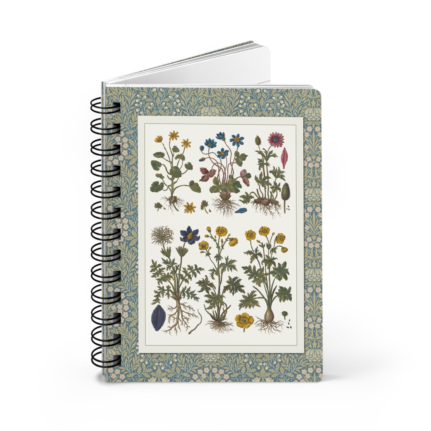 Morandi Historia Botanica Spiral Journal — 1744 Milan Botanical Plates Prussian Blue