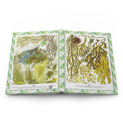 Algae Specimens Hardcover Journal — Botanical Marine Notebook