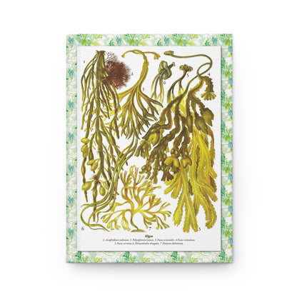 Algae Specimens Hardcover Journal — Botanical Marine Notebook