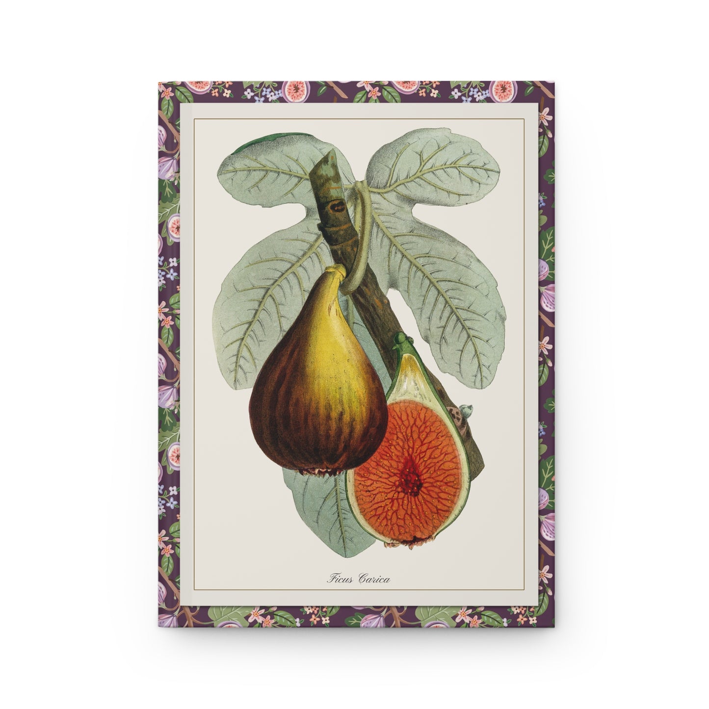 Fig Hardcover Journal — Matte Hardcover Notebook for Notes & Sketches