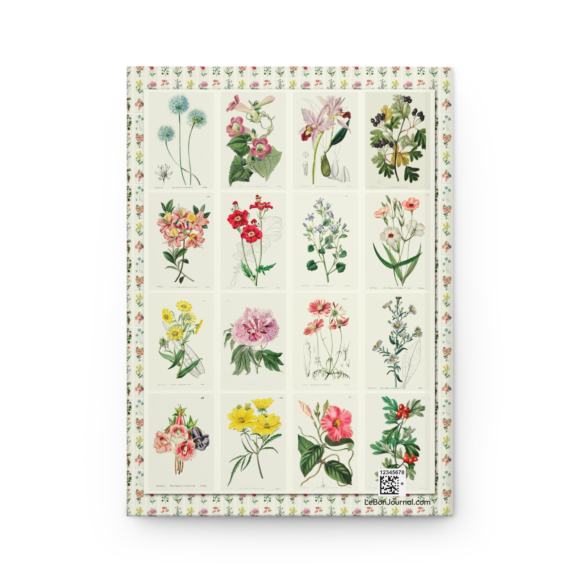 16 botanical specimens back cover orchids peonies azaleas cosmos Sarah Drake copper engravings - LeBonJournal
