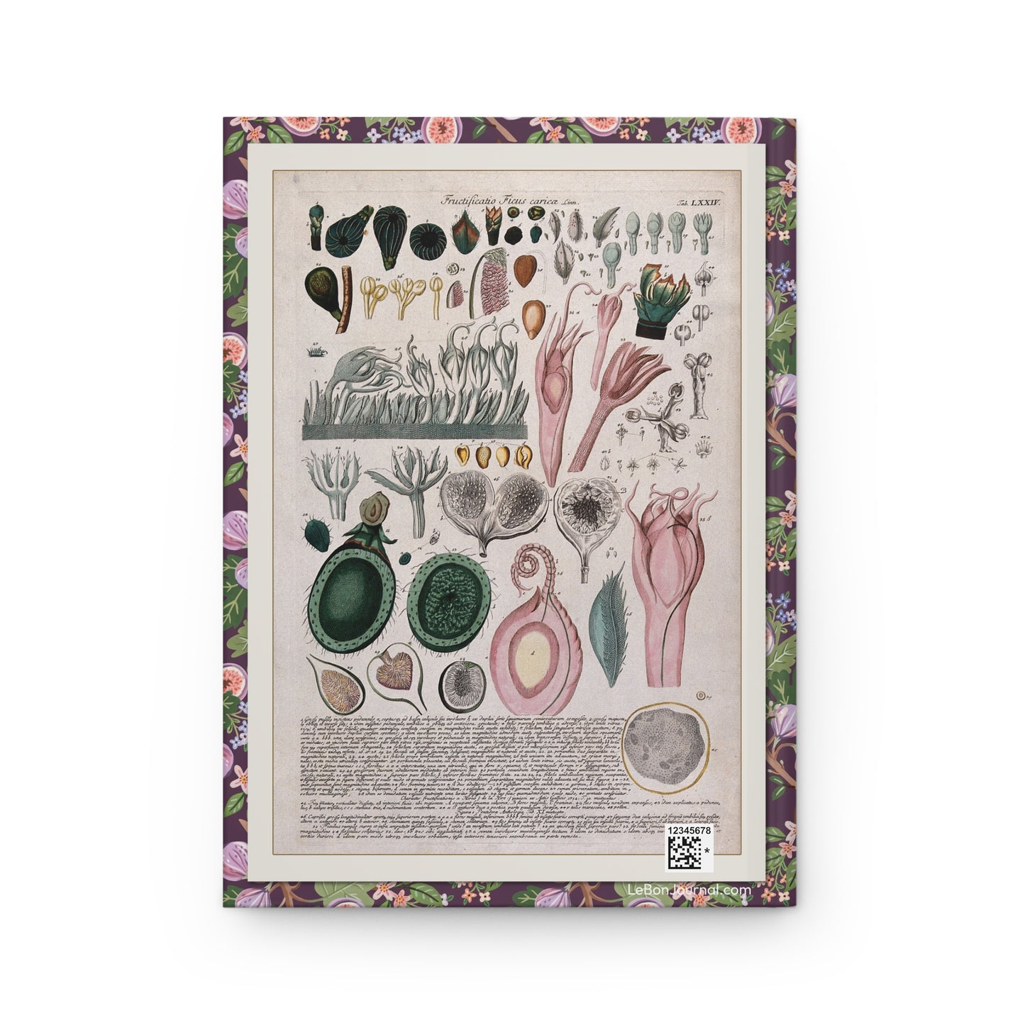 Fig Hardcover Journal — Matte Hardcover Notebook for Notes & Sketches