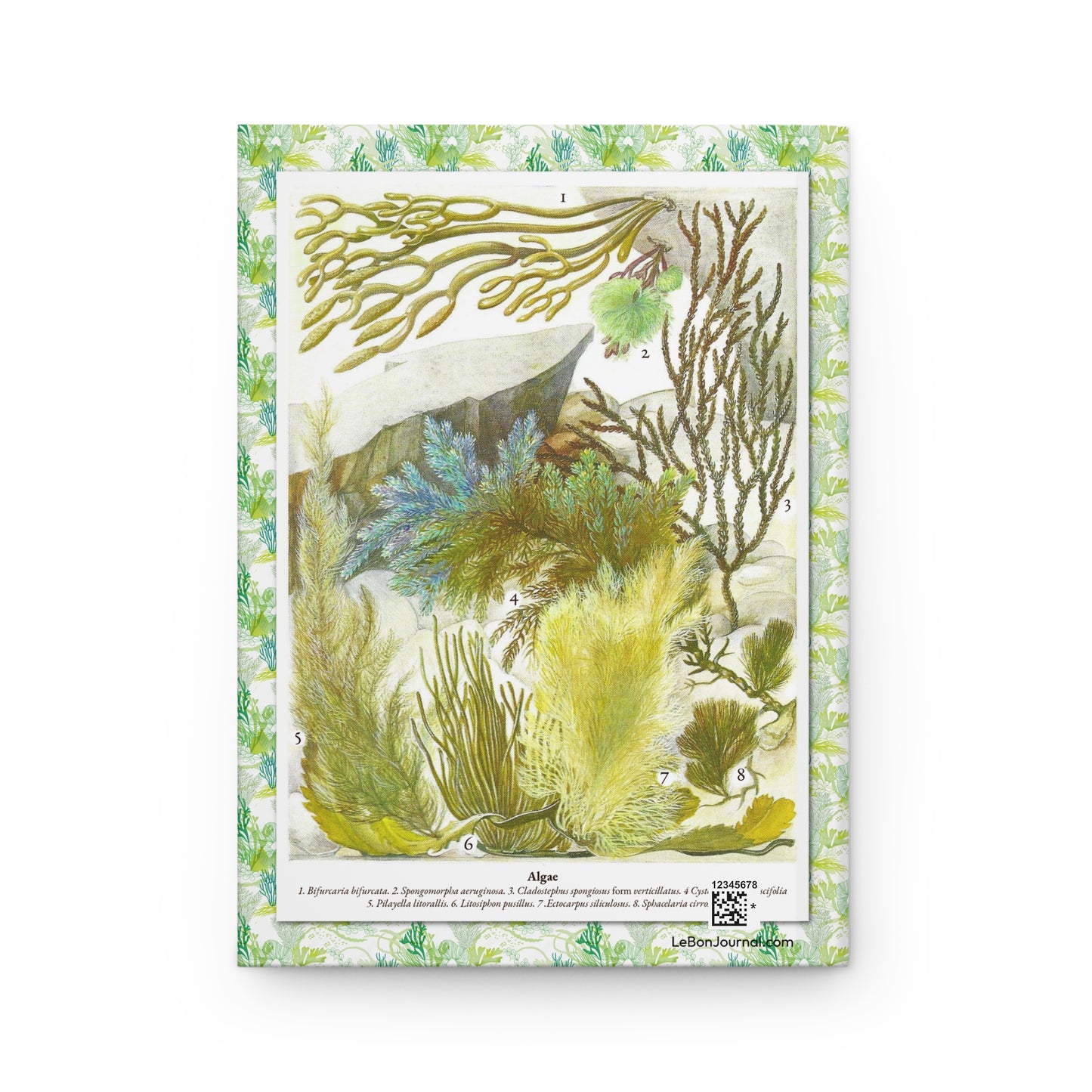 Algae Specimens Hardcover Journal — Botanical Marine Notebook