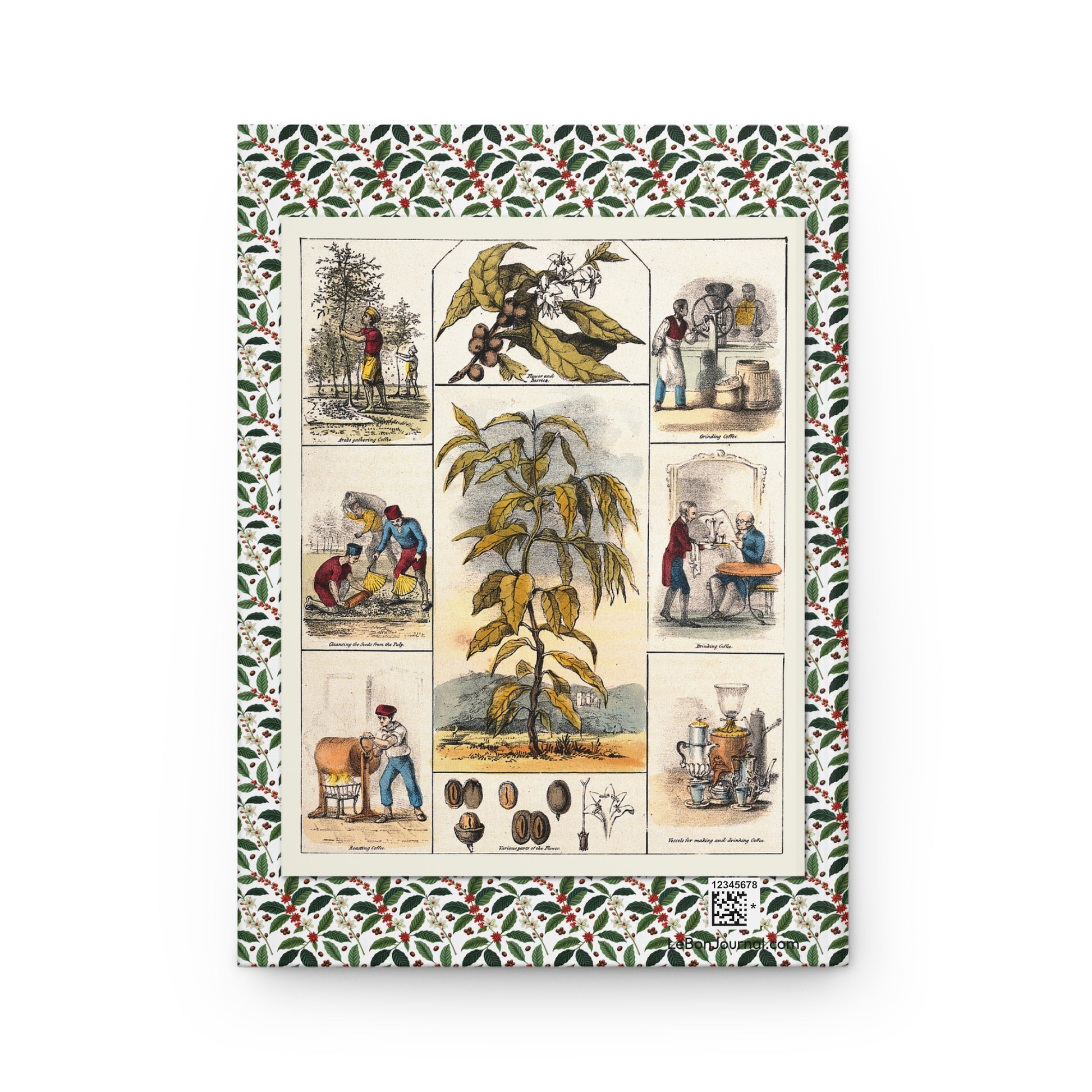 Coffee plant journal back cover with 1840 lithograph showing coffee processing scenes - LeBonJournal