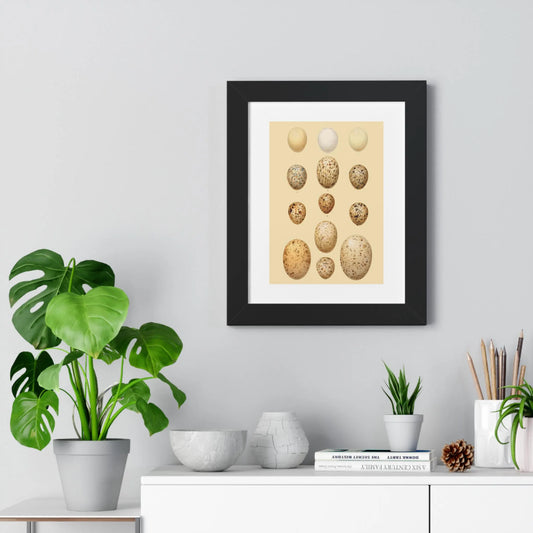 Framed botanical eggs print on modern wall above minimalist desk with plants and decor