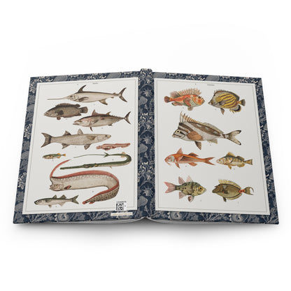 Gustav von Hayek Fish Blank Journal — Wielki Atlas 1887 Habsburg Ichthyological Illustration Plates 044 045