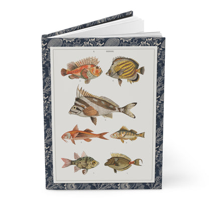 Gustav von Hayek Fish Blank Journal — Wielki Atlas 1887 Habsburg Ichthyological Illustration Plates 044 045