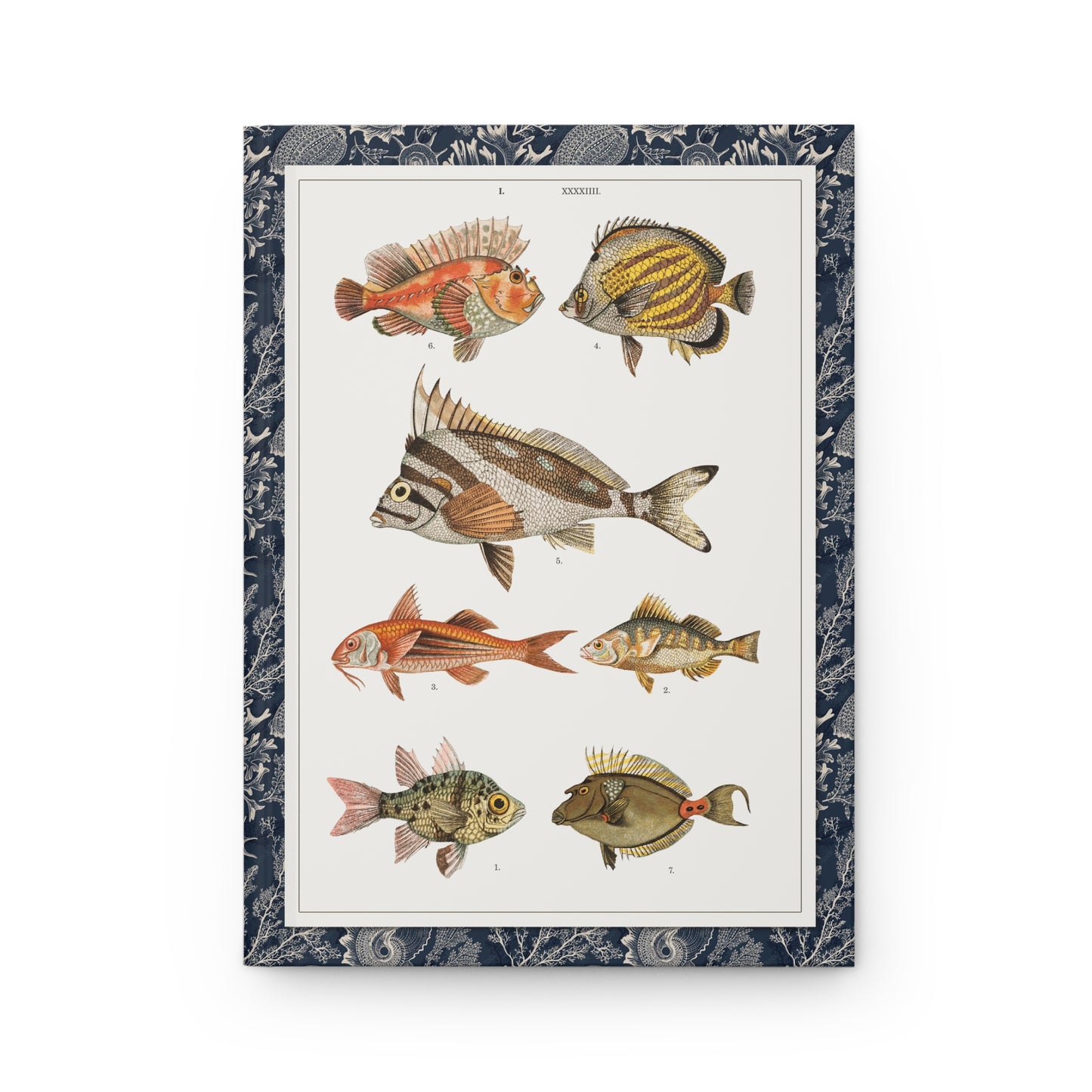 Gustav von Hayek Fish Blank Journal — Wielki Atlas 1887 Habsburg Ichthyological Illustration Plates 044 045