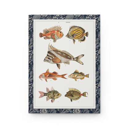Gustav von Hayek Fish Blank Journal — Wielki Atlas 1887 Habsburg Ichthyological Illustration Plates 044 045