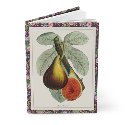 Ehret & Macfarlane Fig Blank Journal — Plantae Selectae 1750 Nuremberg & Victorian Zincograph c.1872