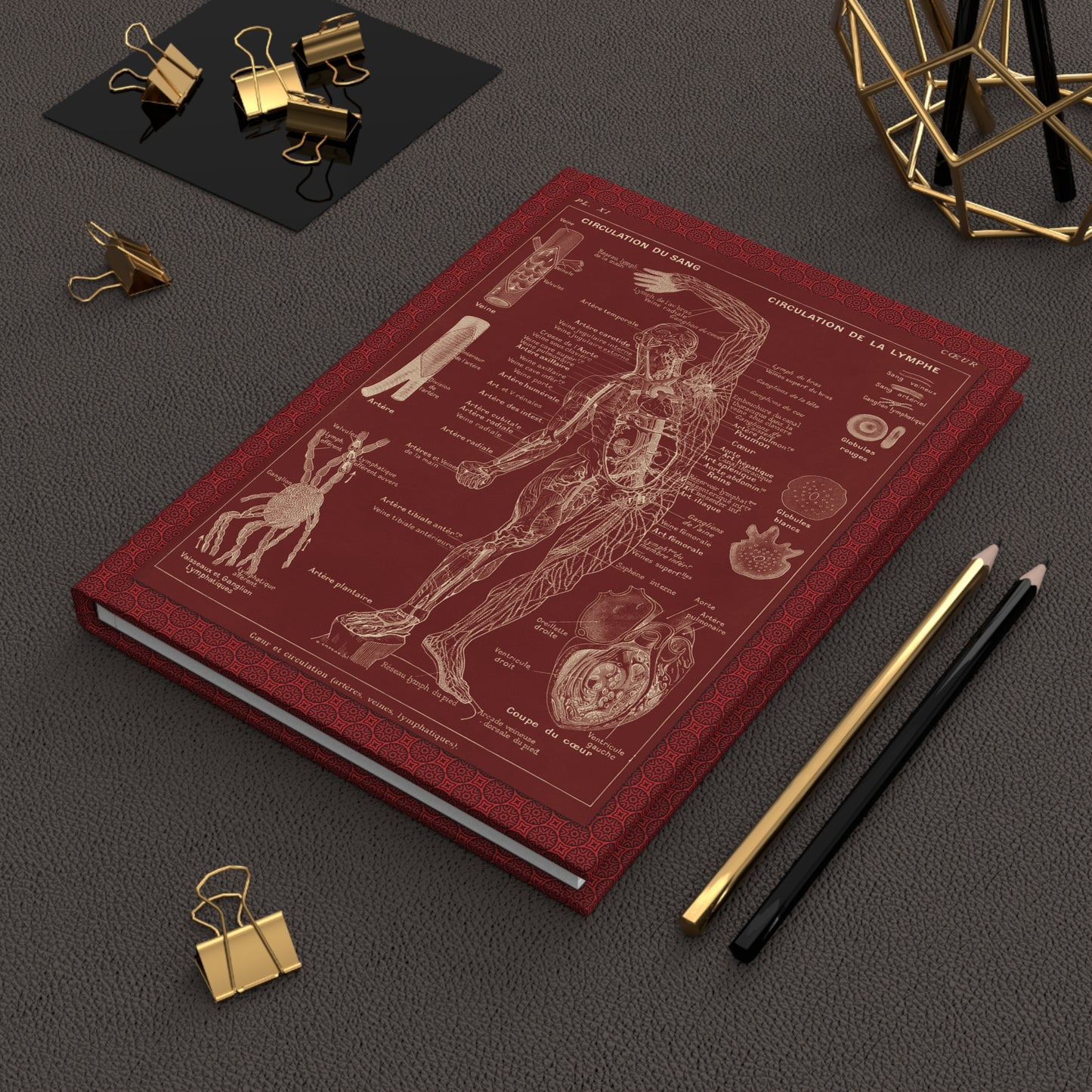Larousse Médical Blank Journal — Leuba 1912 Cardiovascular Nervous System Lacre Red Galtier-Boissière
