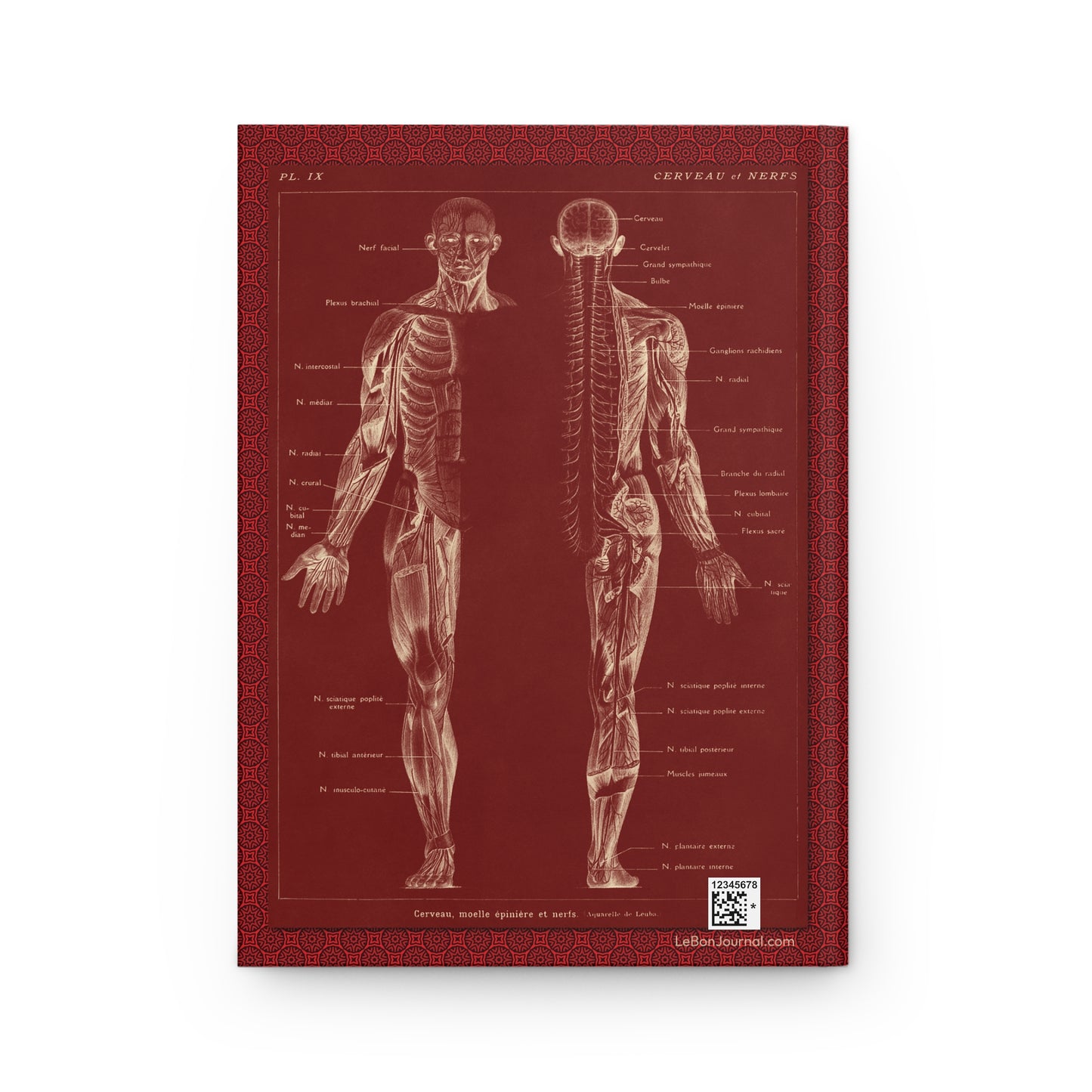 Larousse Médical Blank Journal — Leuba 1912 Cardiovascular Nervous System Lacre Red Galtier-Boissière