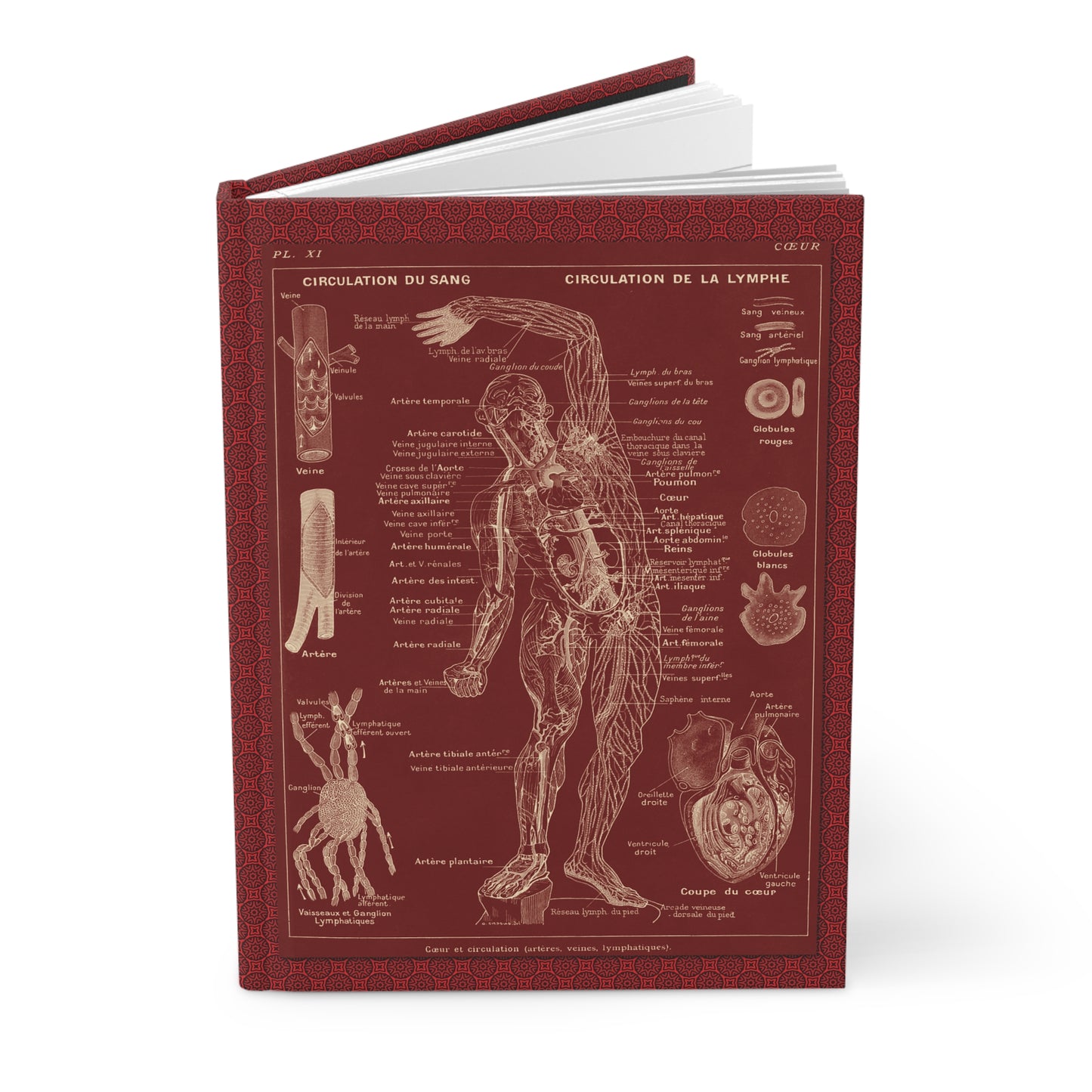 Larousse Médical Blank Journal — Leuba 1912 Cardiovascular Nervous System Lacre Red Galtier-Boissière