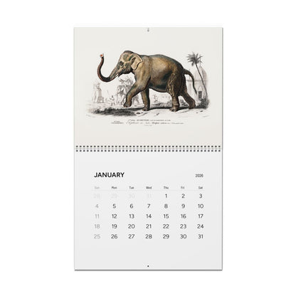 2026 Great Menagerie Wall Calendar 14 x 11.5 inches glossy D'Orbigny 1849 Dictionnaire Histoire Naturelle engravings - LeBonJournal