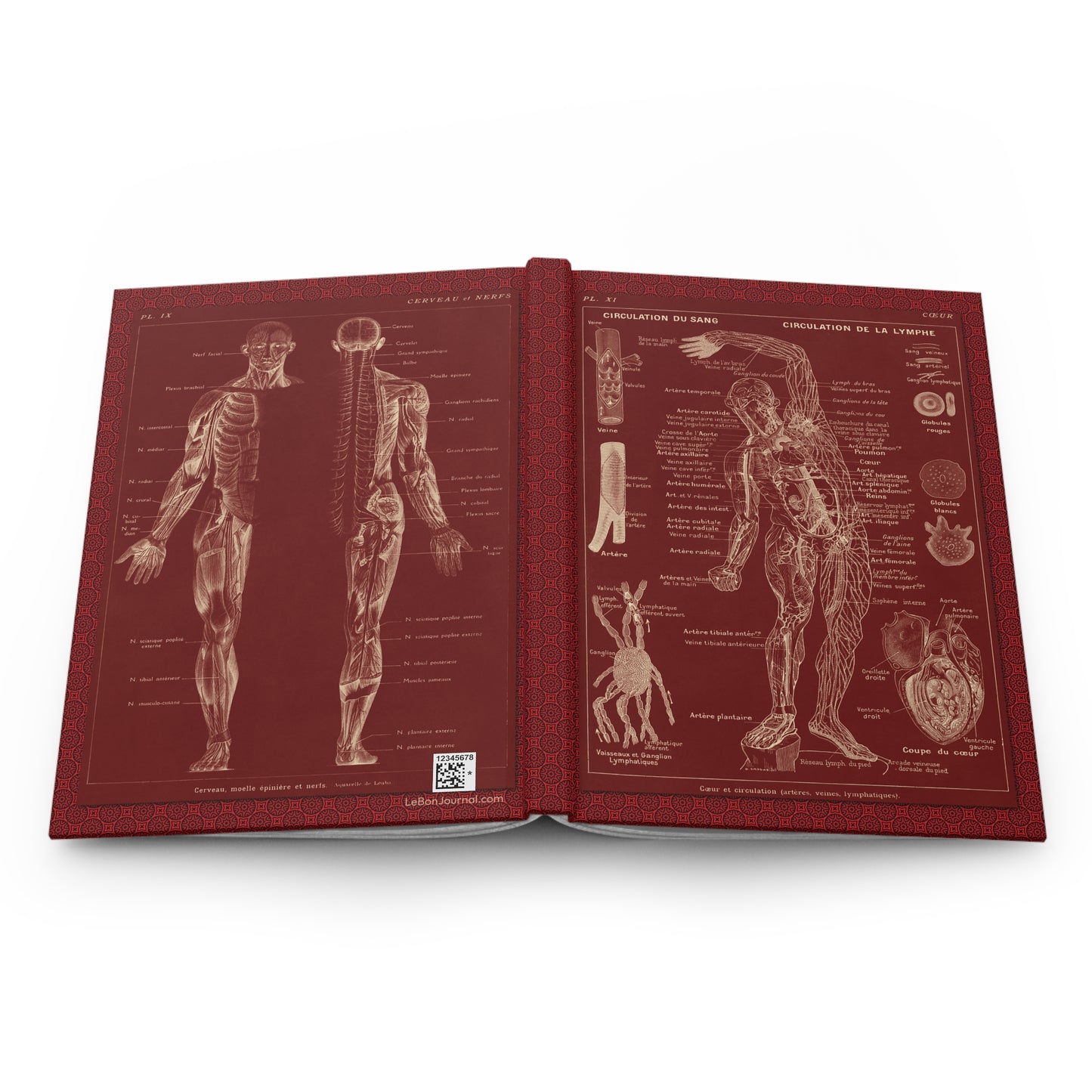 Human Anatomy Hardcover Journal — Medical Sketchbook & Study Notebook