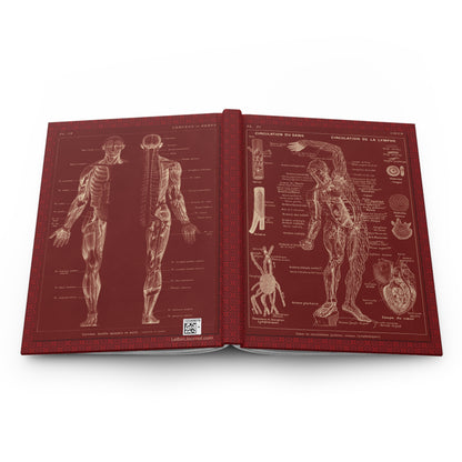 Human Anatomy Hardcover Journal — Medical Sketchbook & Study Notebook