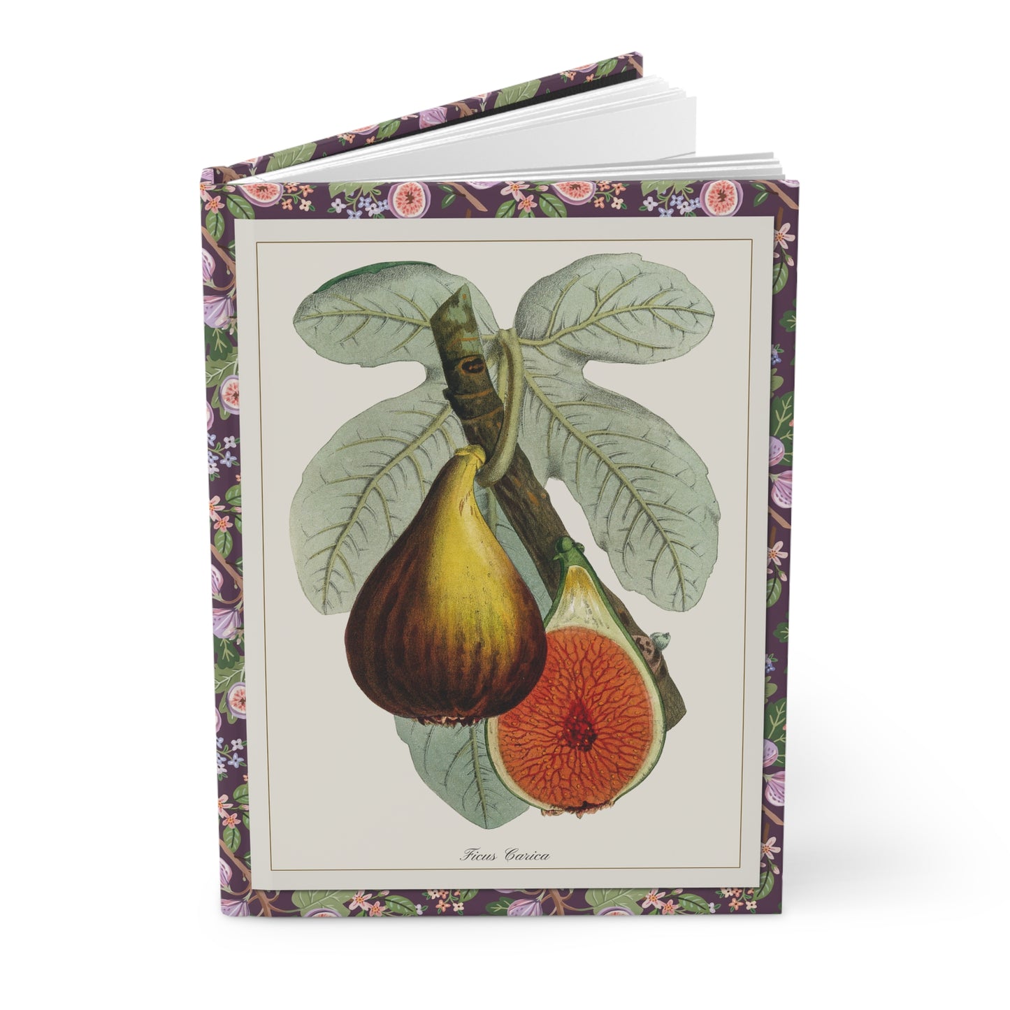 Fig Hardcover Journal — Matte Hardcover Notebook for Notes & Sketches