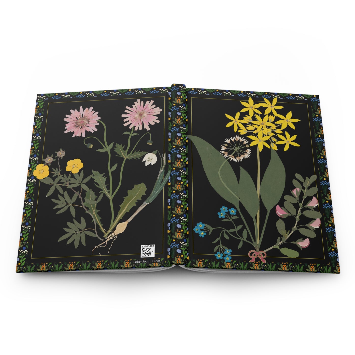 Wildflower Journal — Ellen W. 1835 Cut-Paper Flowers Crepis Rubra Asteraceae