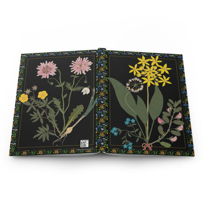 Wildflower Journal — Ellen W. 1835 Cut-Paper Flowers Crepis Rubra Asteraceae