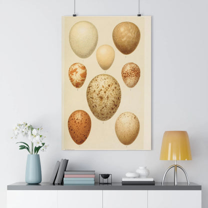 Botanical art print of speckled eggs above a modern console with flowers and lamp, LeBonJournal style
