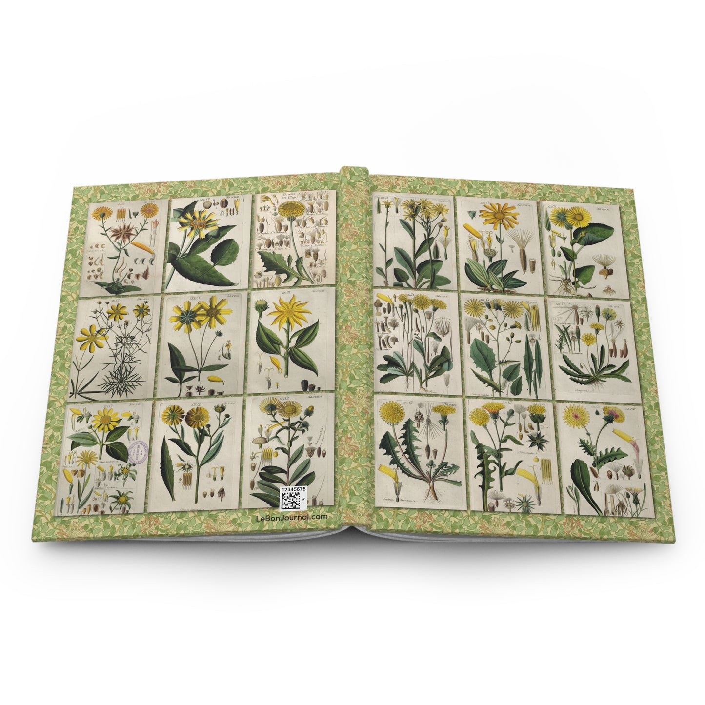 Wildflower Journal — Schkuhr, Wittenberg 1808
