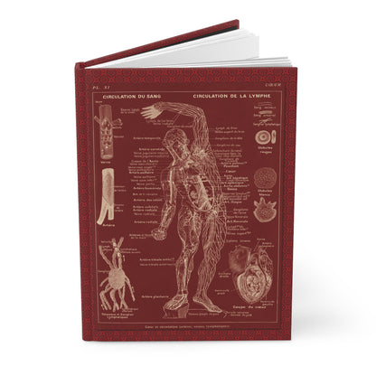 Human Anatomy Hardcover Journal — Medical Sketchbook & Study Notebook
