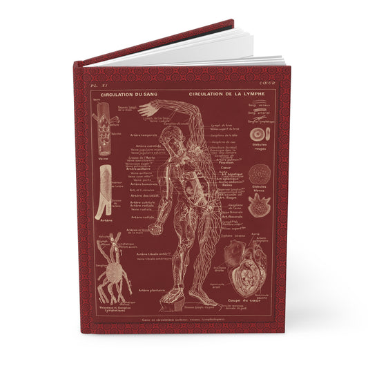 Human Anatomy Hardcover Journal — Medical Sketchbook & Study Notebook