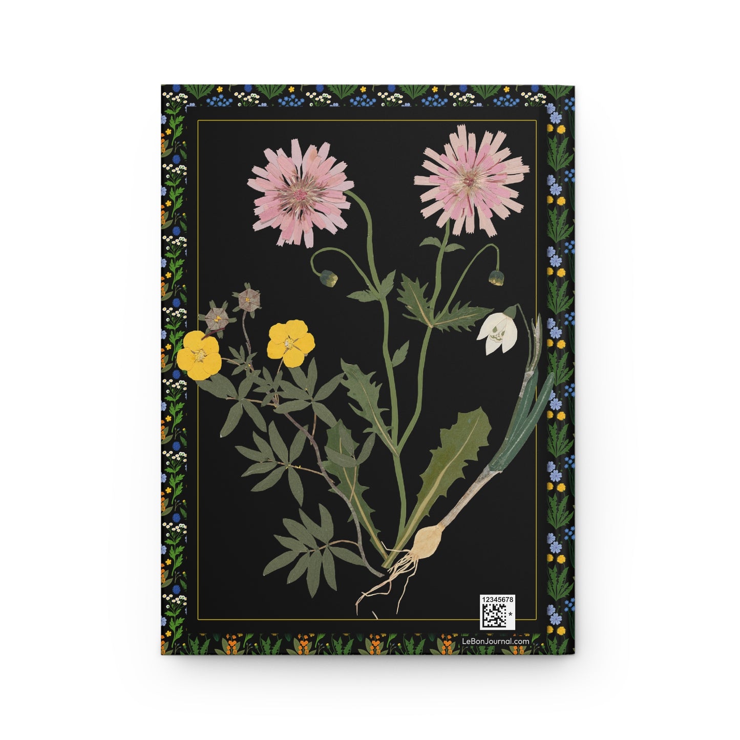 Wildflower Journal — Ellen W. 1835 Cut-Paper Flowers Crepis Rubra Asteraceae