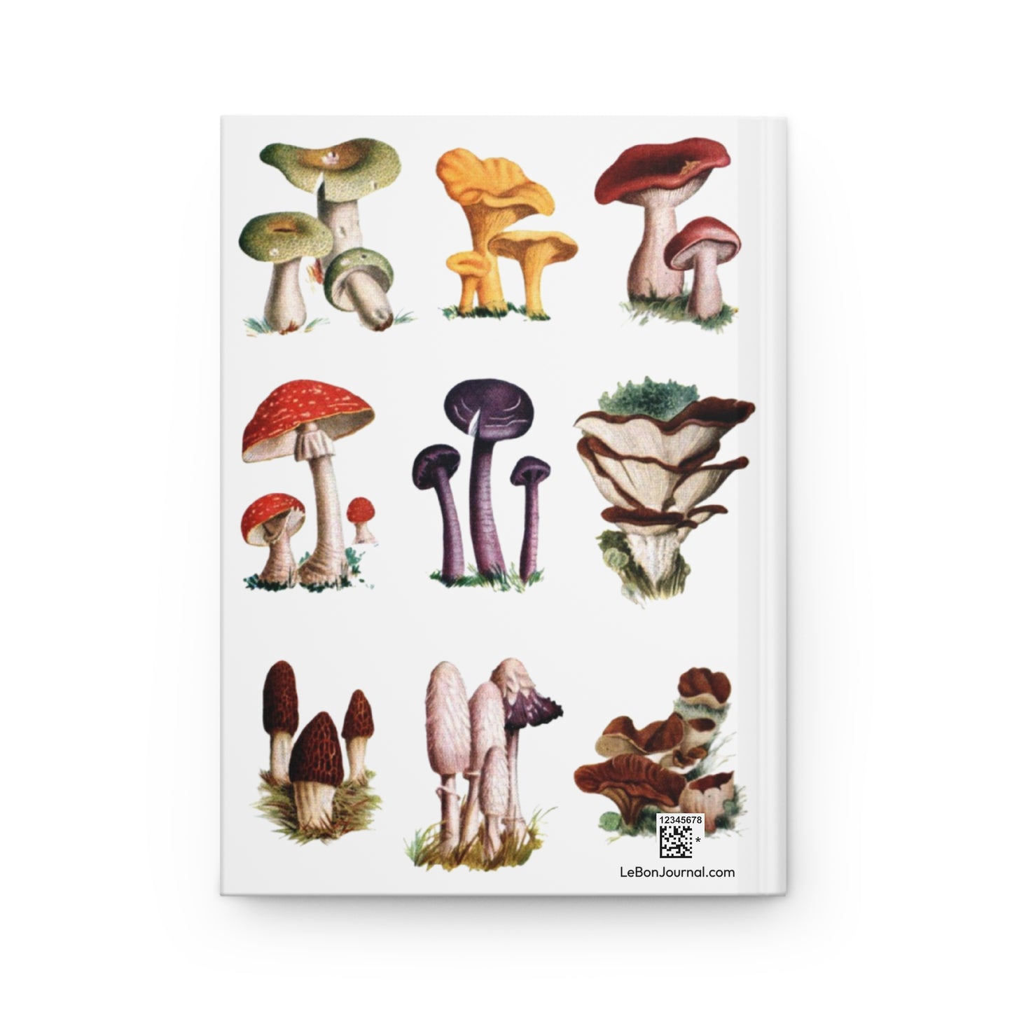 9 mushroom species back cover Violet Webcap Horn of Plenty Shaggy Ink Cap encyclopedic - LeBonJournal

